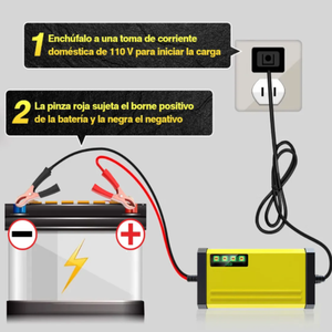 AutoVolt Pro